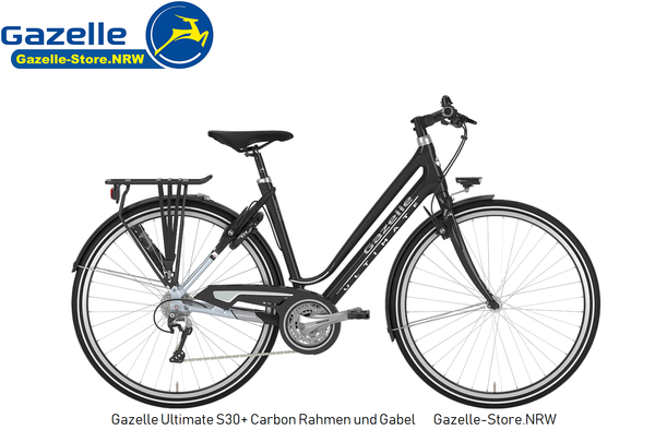 Gazelle Ultimate S30+ Carbon Rahmen und Gabel 13,5 kg, 57cm